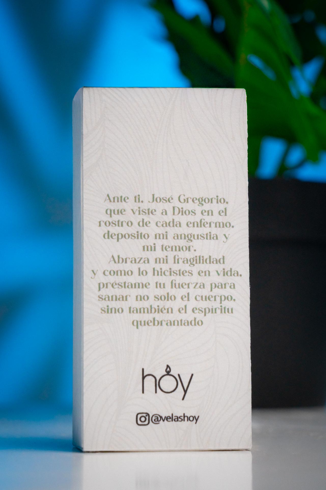 Vela José Gregorio Hernández - Imagen 6